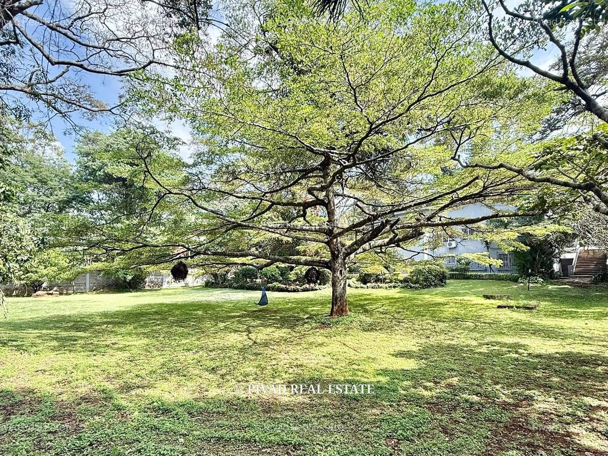 4 Bed House with Garden in Muthaiga - 8