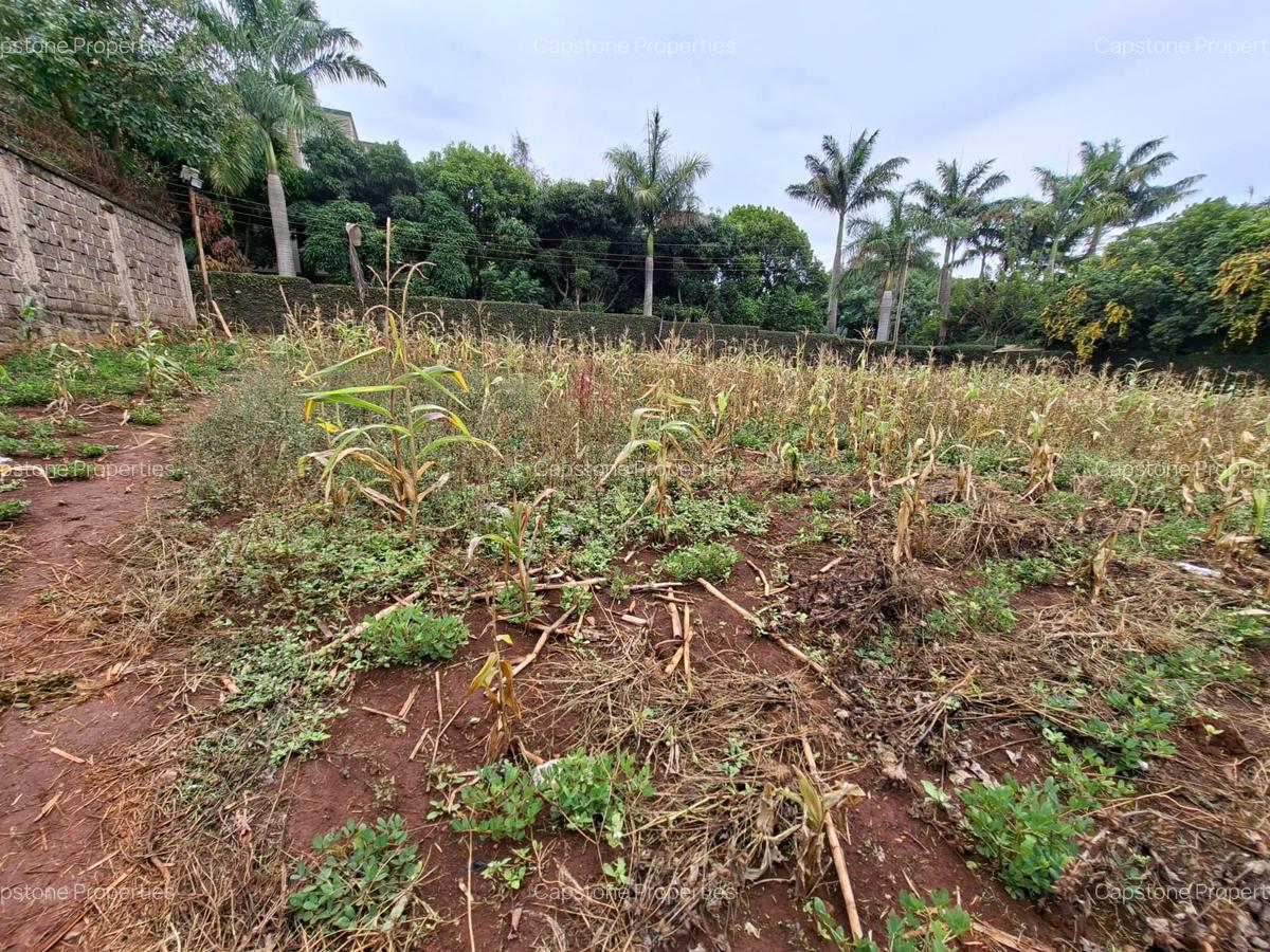 Residential Land in Runda - 1