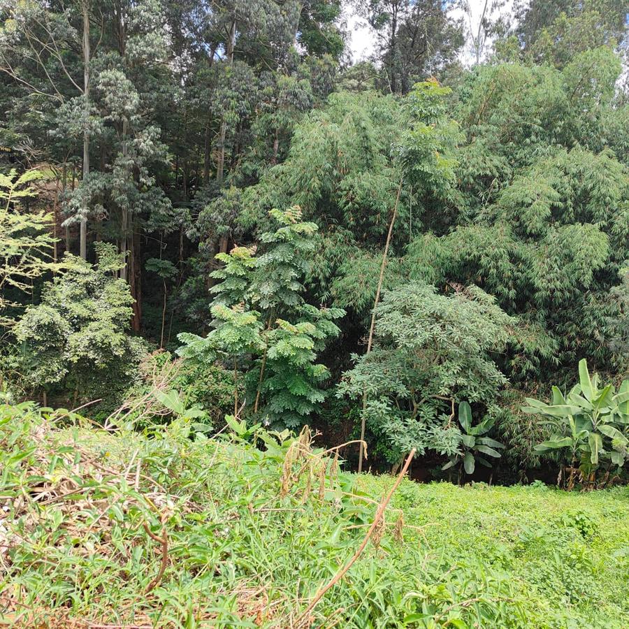 0.5 ac Land at Kitisuru Springs - 1