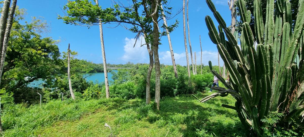 4.4 ac Land at Moorings - 19