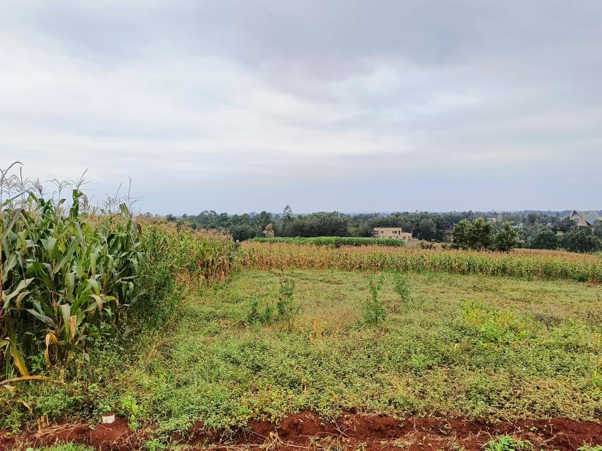 Residential Land at Kiora Estate - 4