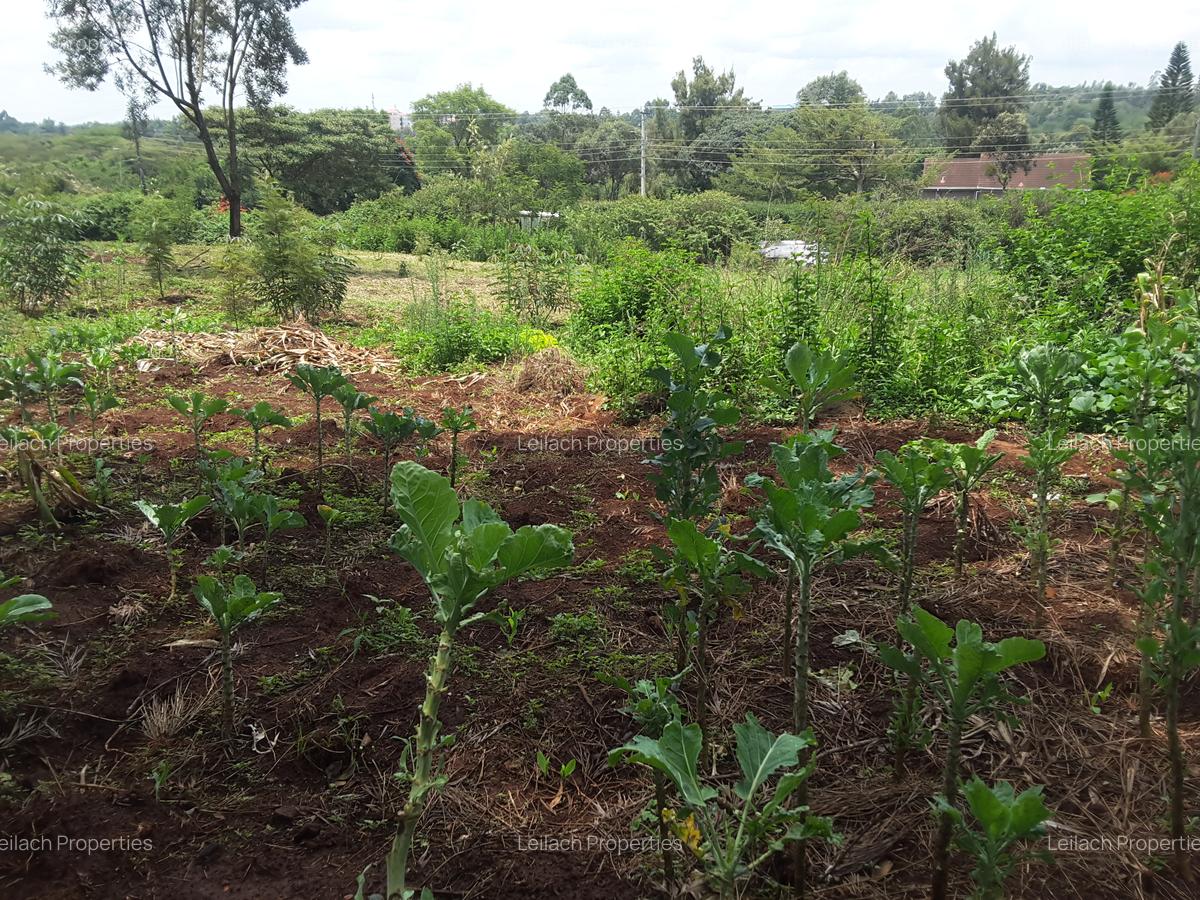 1 ac Land in Karen - 2