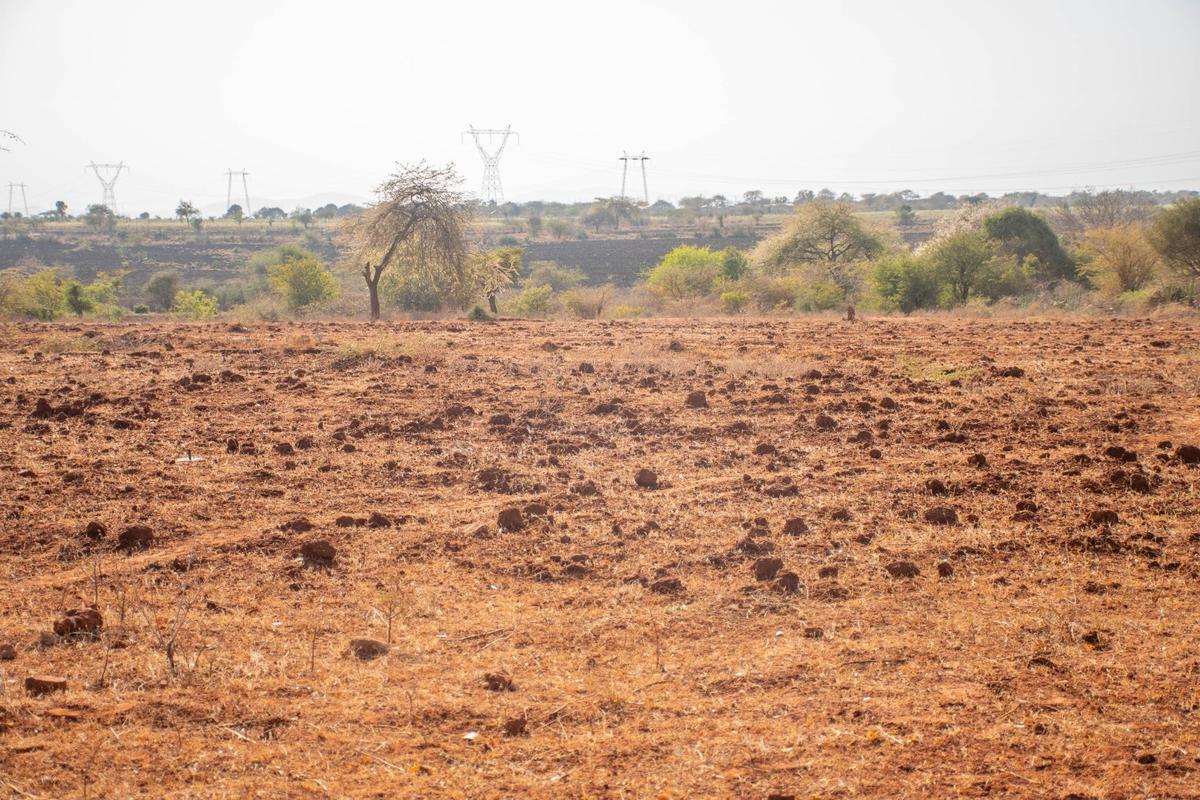 0.05 ha Land at Tumaini Estate - 15