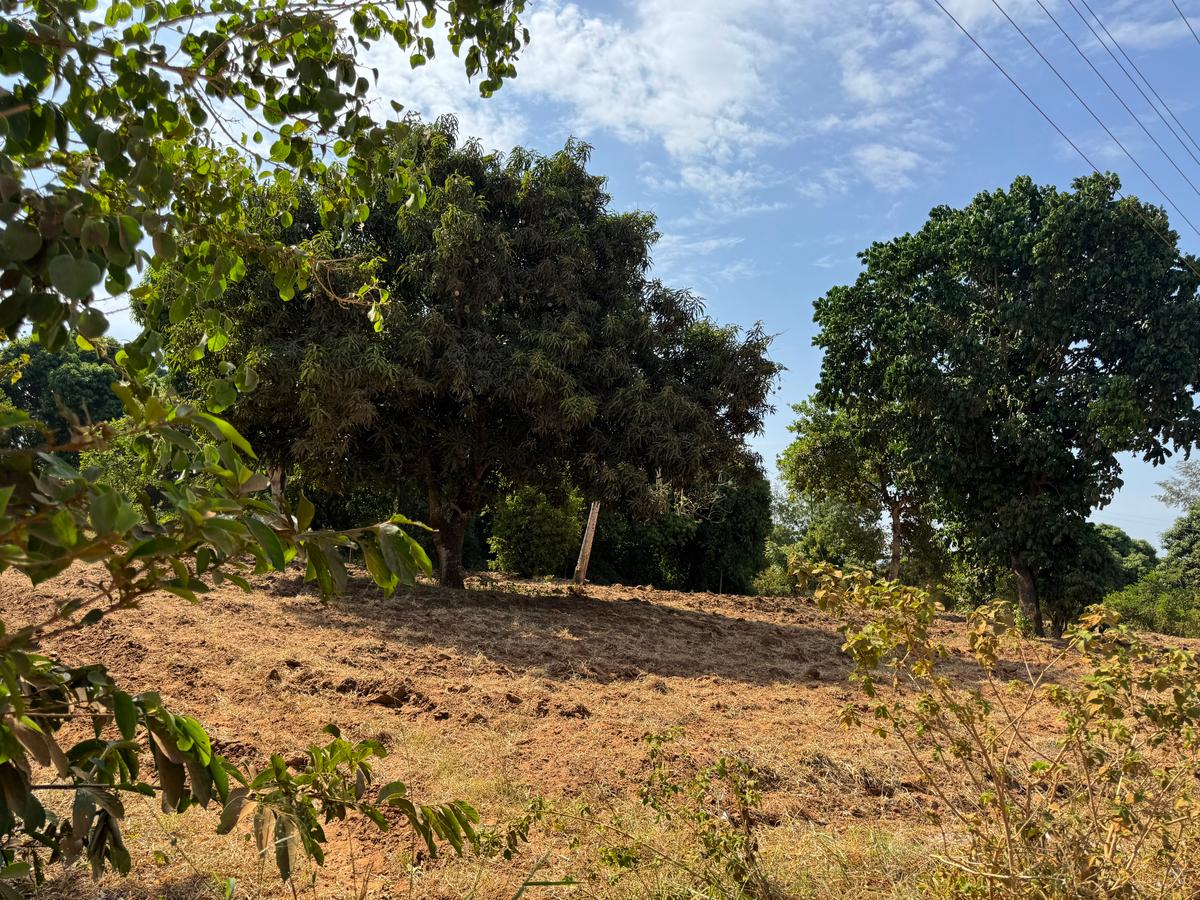 Land in Mtwapa - 4