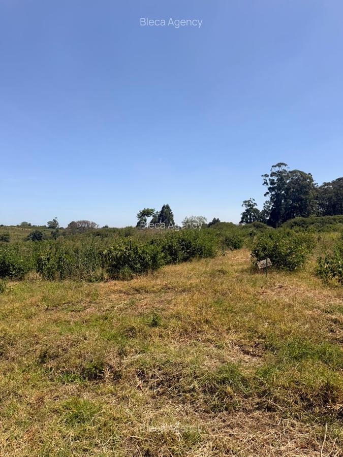 500 m² Land at Ruiru-Githunguri Road - 12