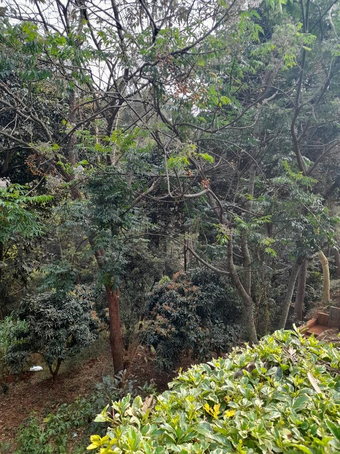 1.25 ac Residential Land at Nyari Gated Communitybnairobi - 5