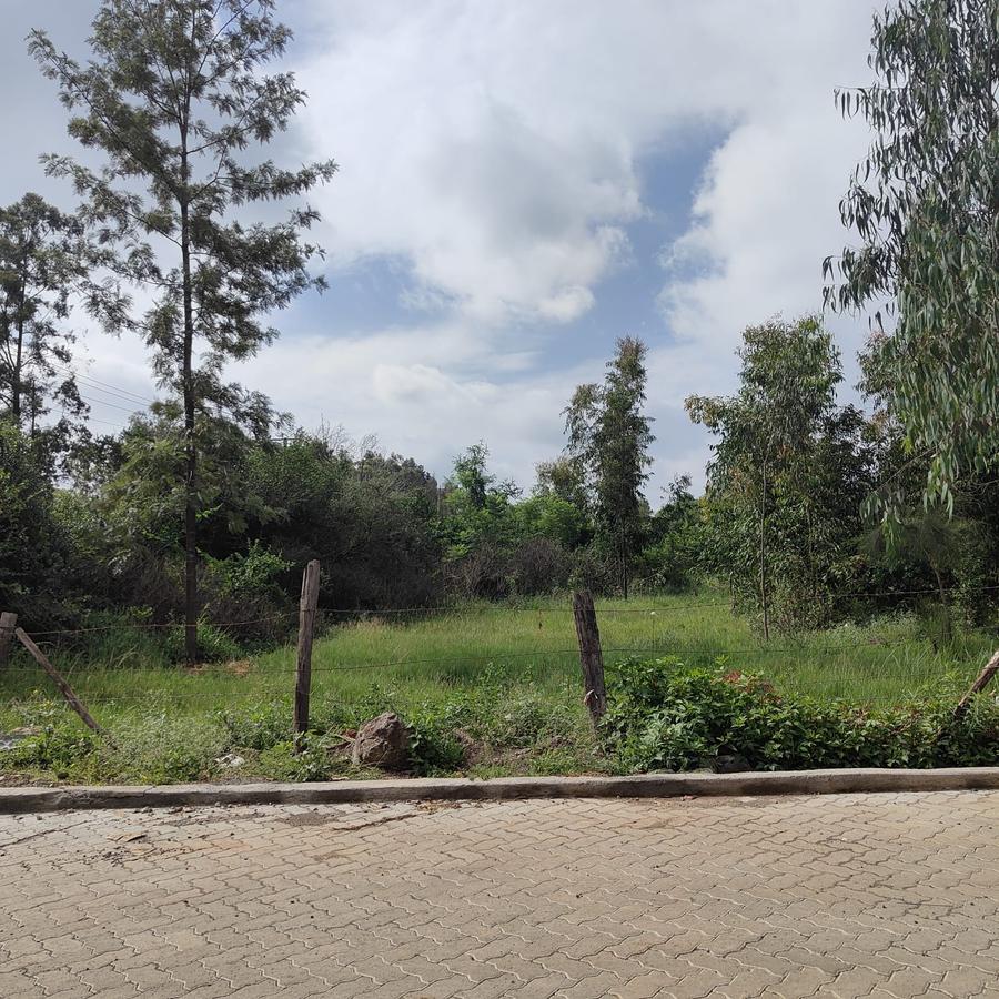 4.5 ac Land at Langata South Road - 1