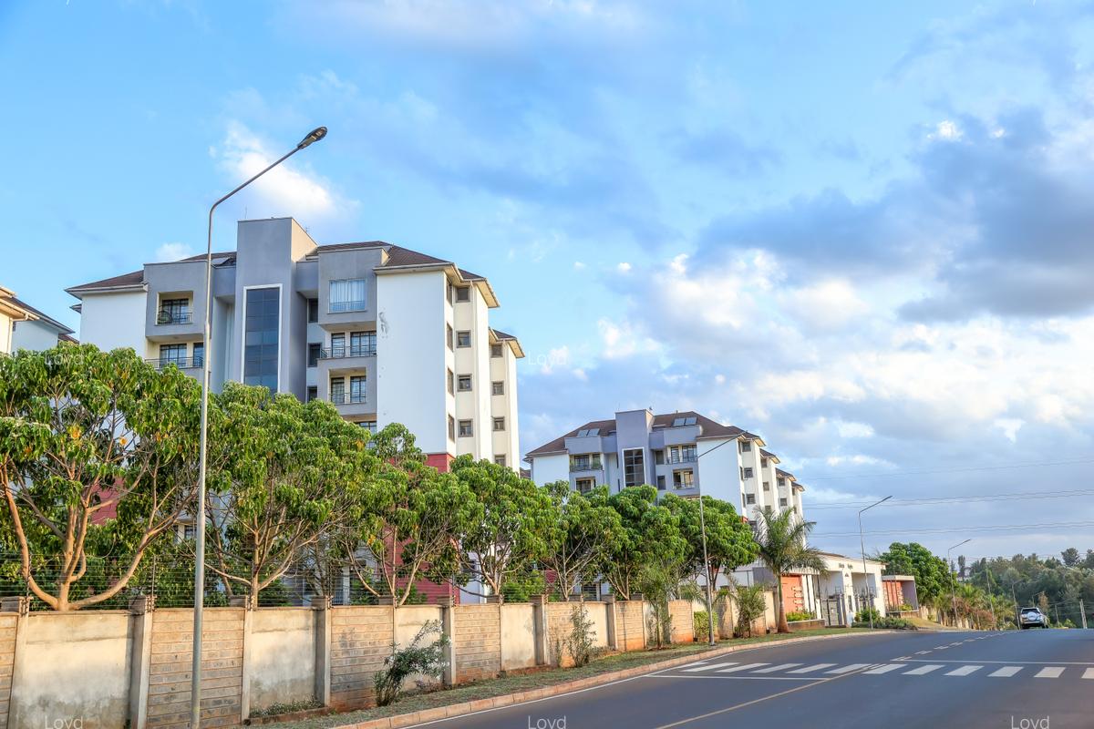 2 Bed Apartment with En Suite in Tatu City - 16