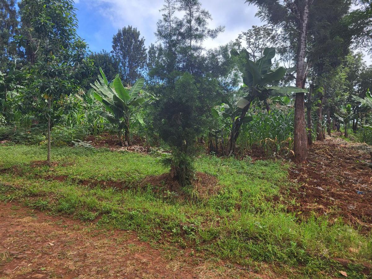 0.55 ac Land at Runda Kigwaru Gardens Drive - 5