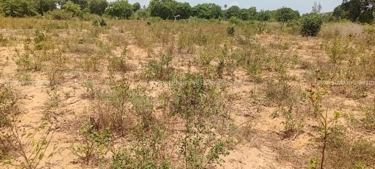 4 ac Land at Matsangoni - 6