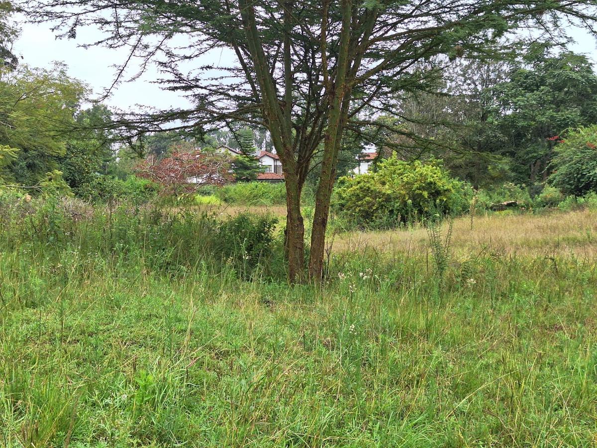 5 ac Residential Land at Mukoyet West - 3