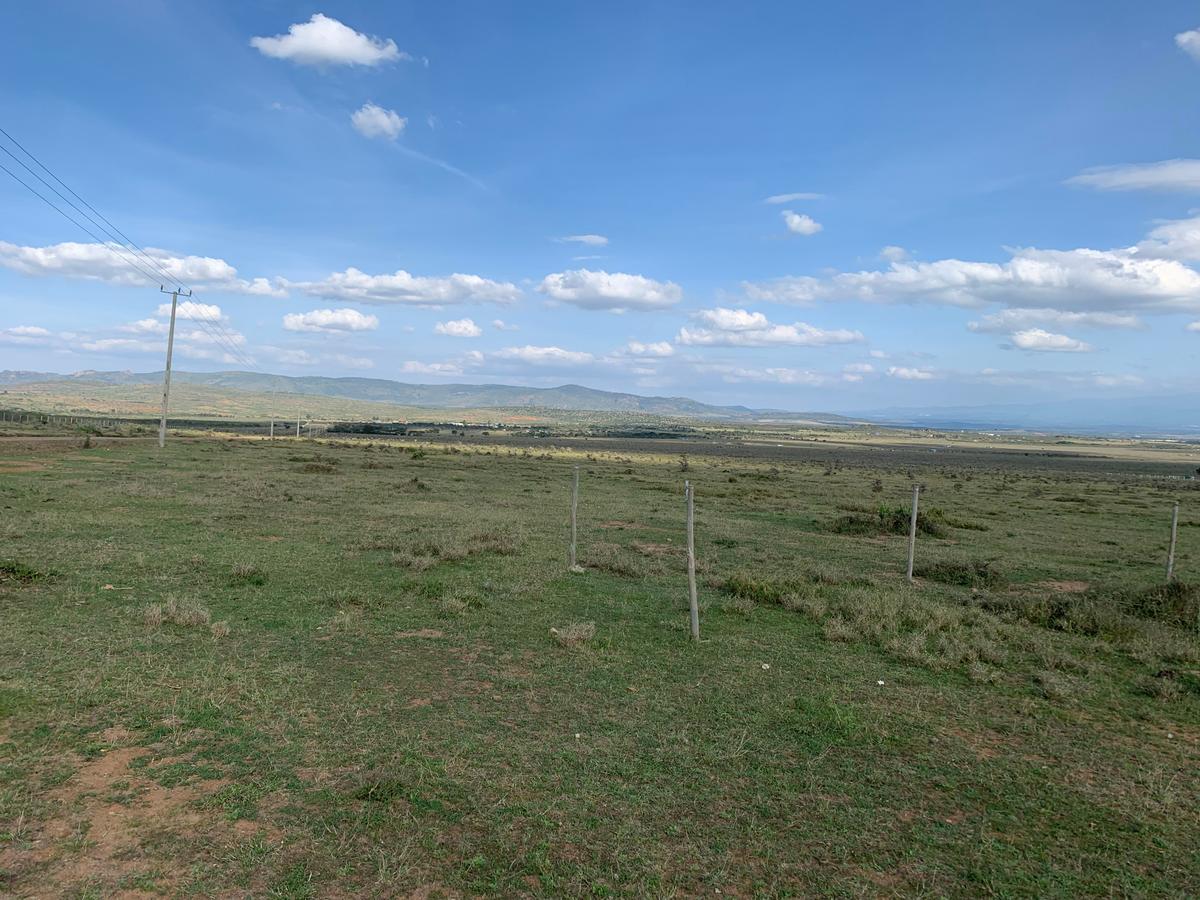 9.6 ac Land in Nanyuki - 6