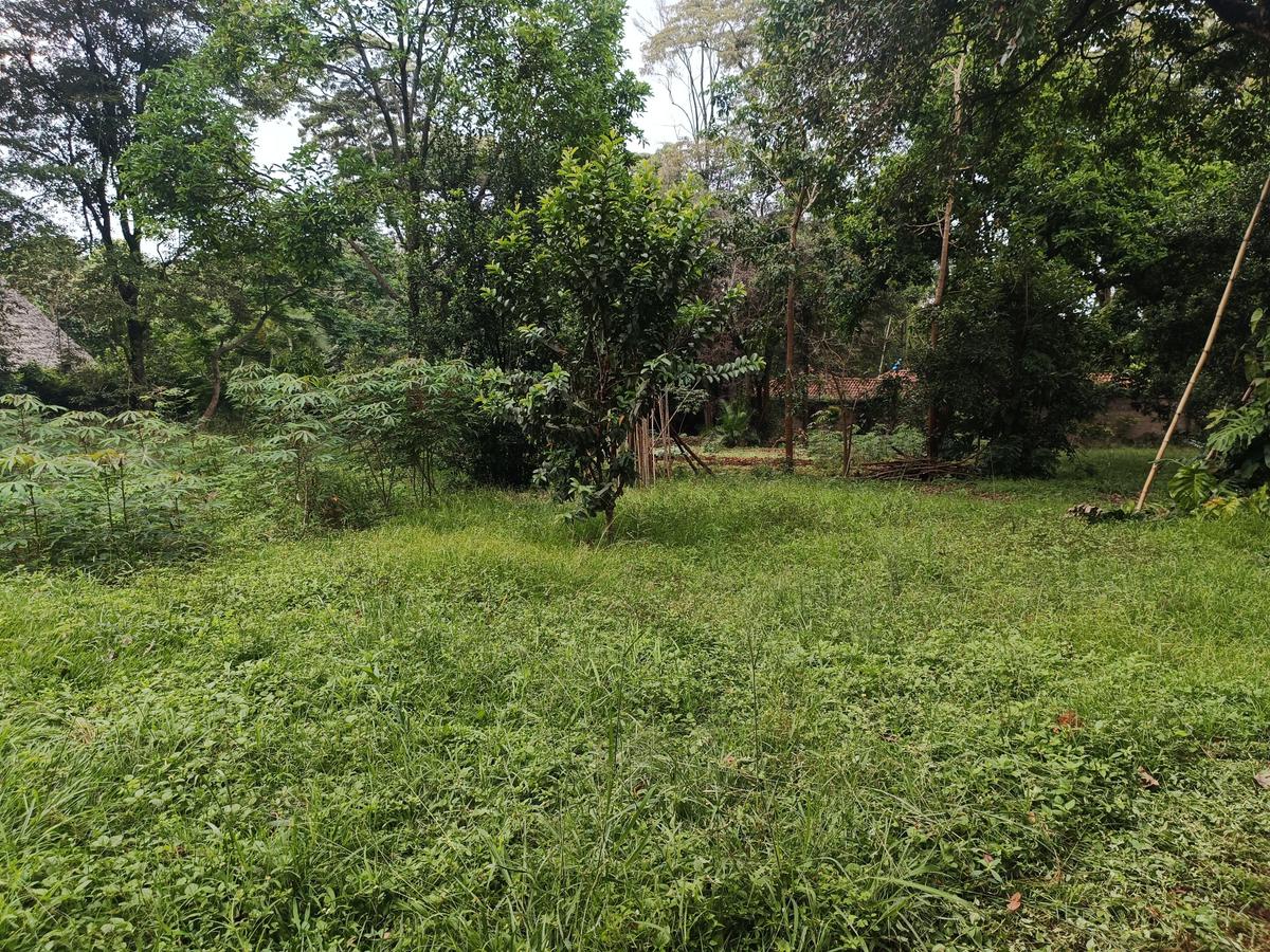 1 ac Land at Old Muthaiga - 3