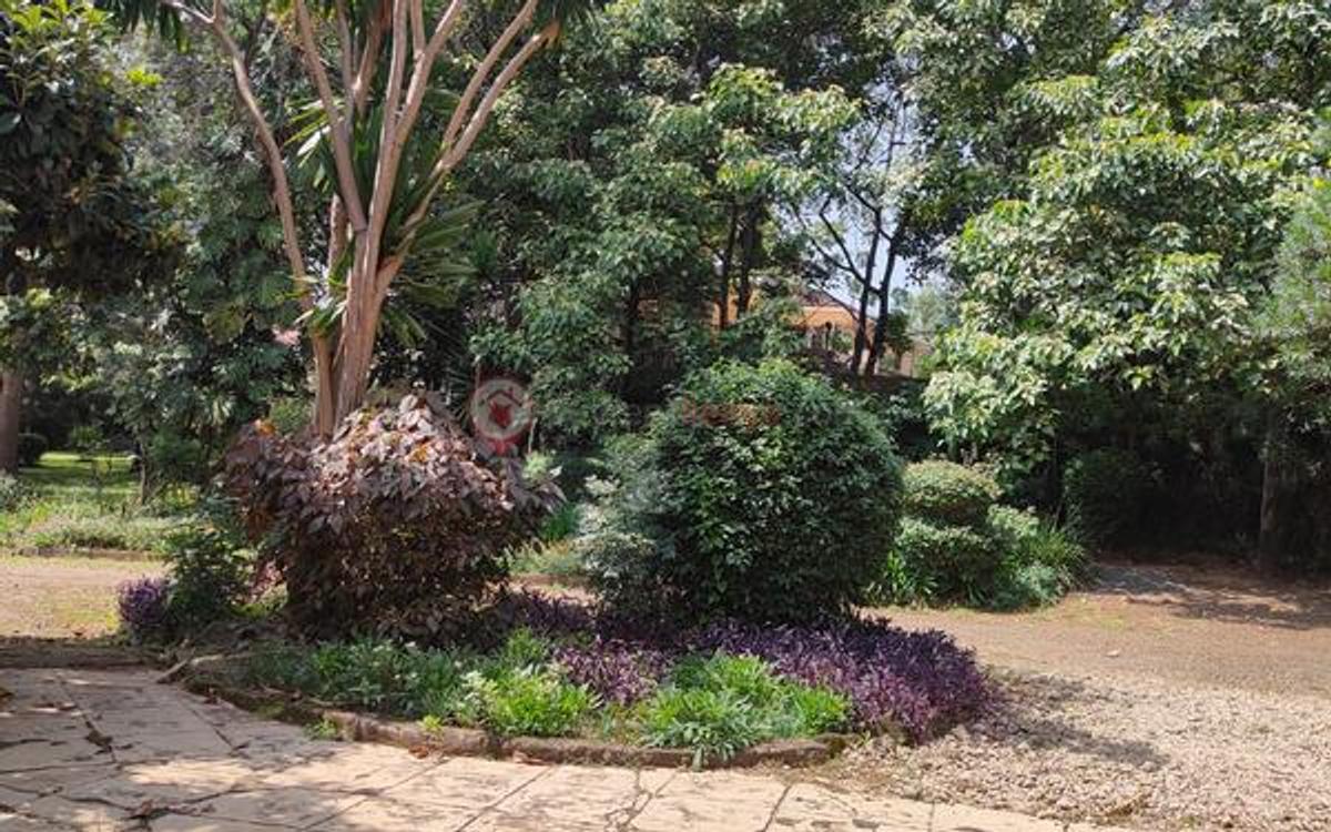 Land at Westlands - 2