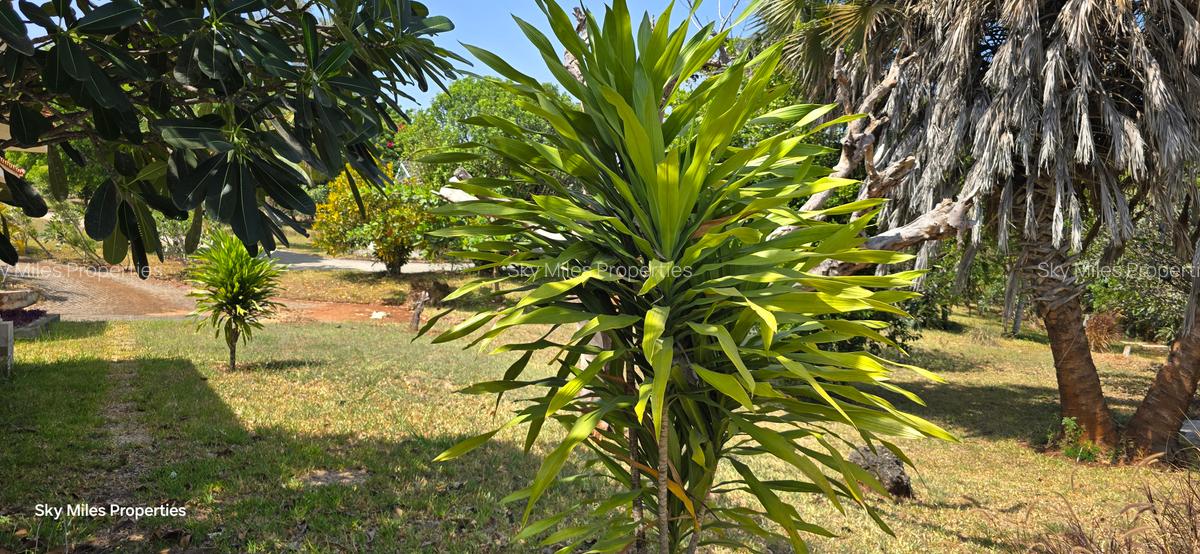 4 Bed Villa with En Suite at Vipingo - 17