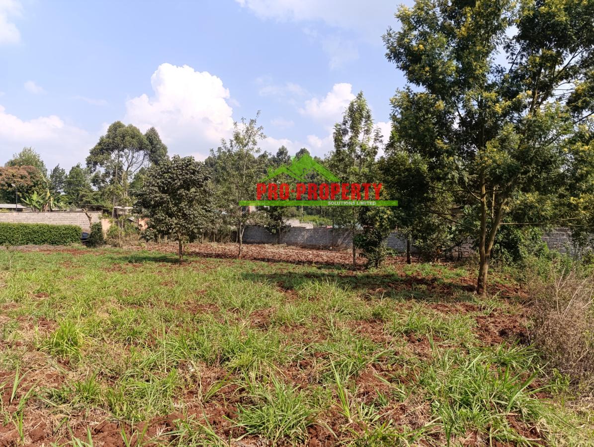 0.1 ha Residential Land at Thogoto - 4