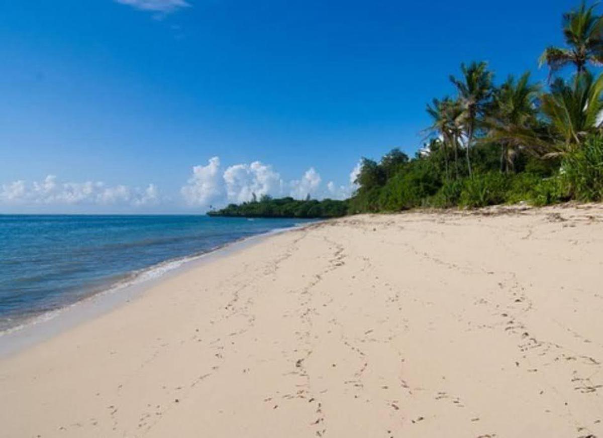 Land in Vipingo - 17