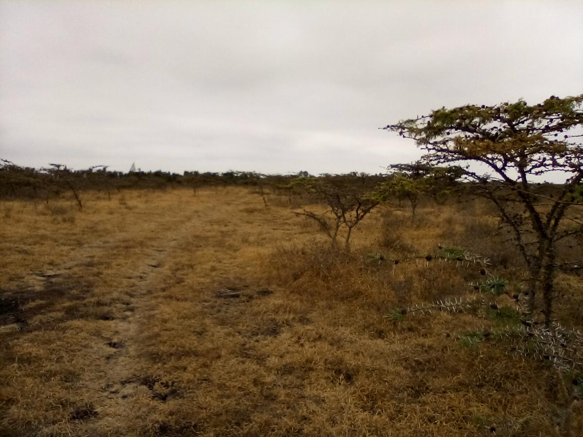 Land in Ongata Rongai - 9