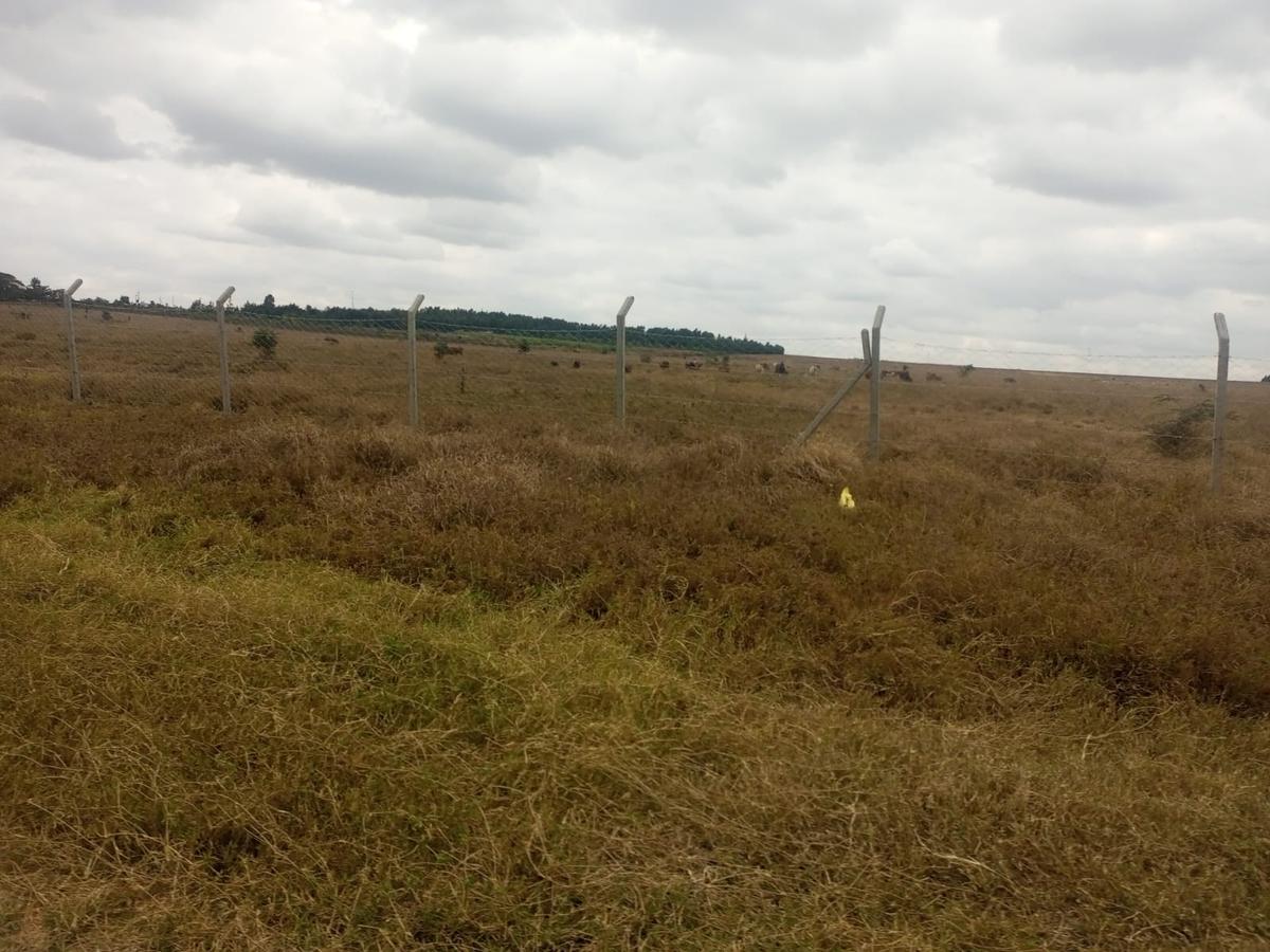 0.25 ac Residential Land at Isinya-Pipeline Road - 4