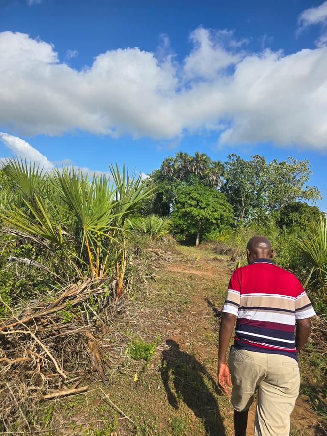 0.05 ha Land at Amani Tiwi Beach Estate - 16