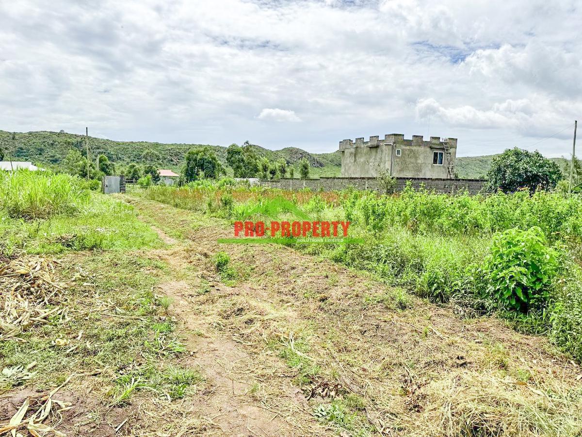 0.05 ha Residential Land at Thigio - 5