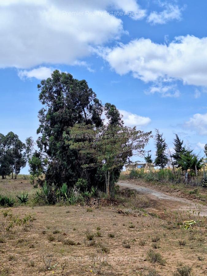 0.125 ac Residential Land at Lusigetti - 7