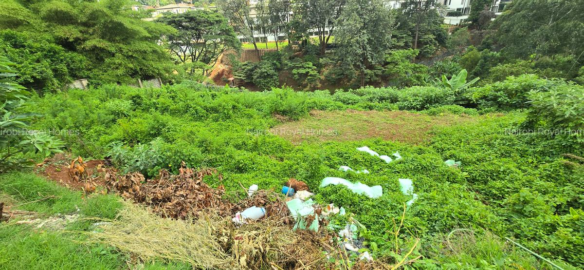 Residential Land at Kitisuru Road - 3