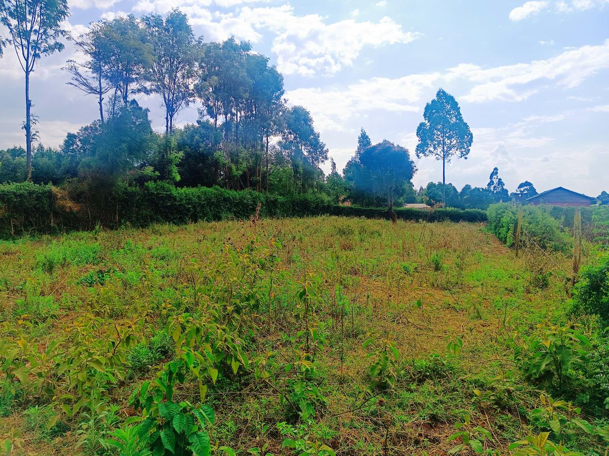 1,000 m² Residential Land at Karie - 7