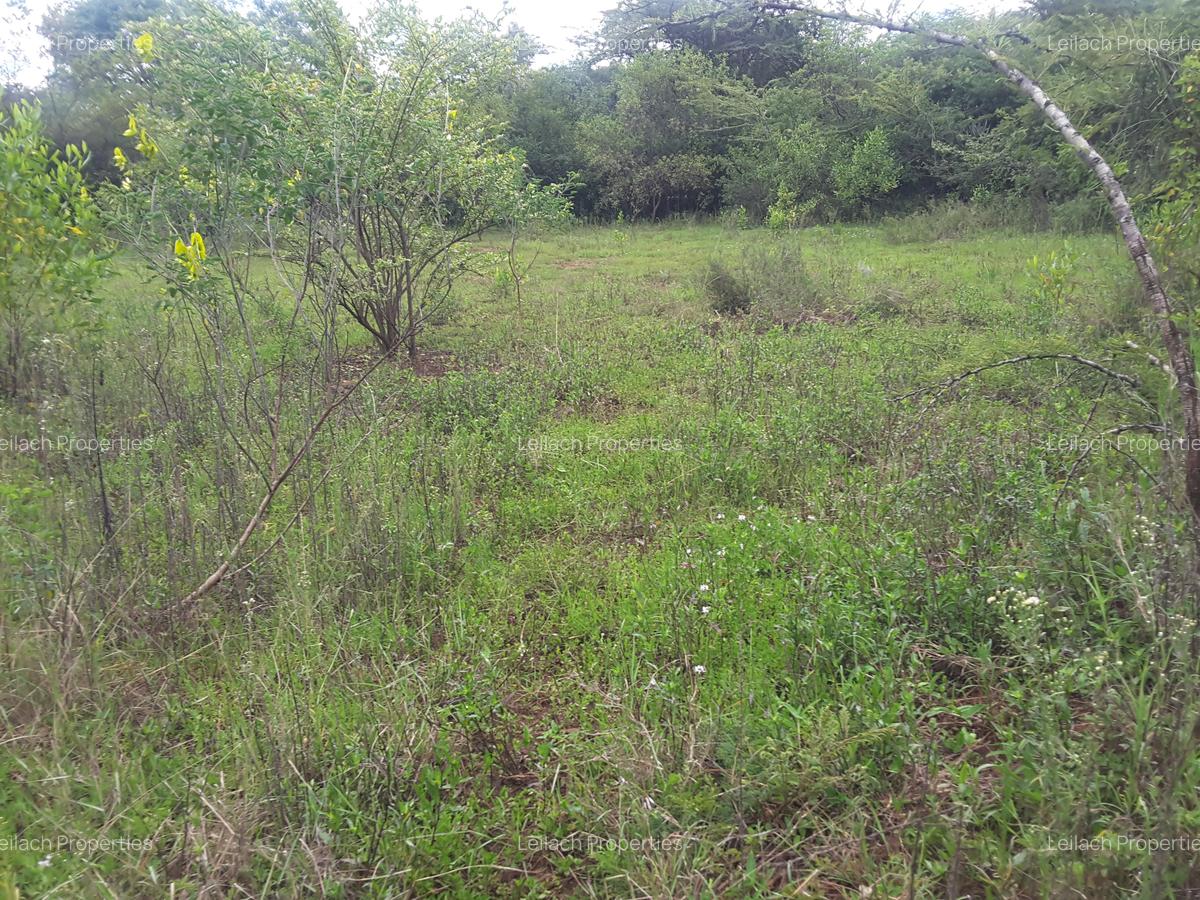 1.5 ac Land in Karen - 5