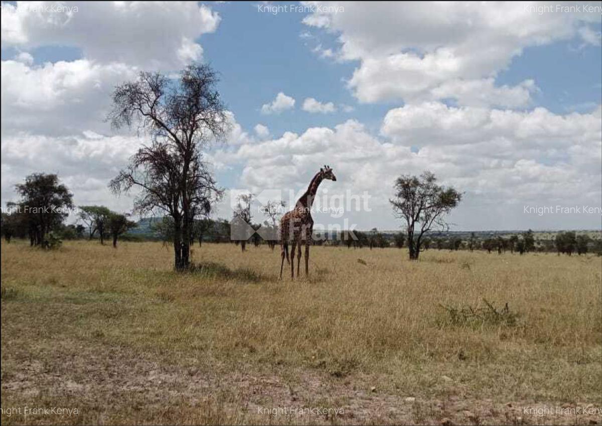 Land at Maanzoni - 5