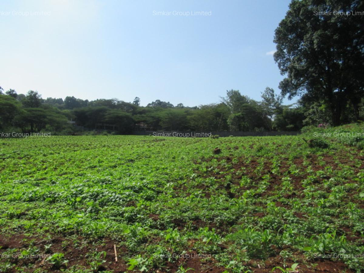 Residential Land at Ololua Ridge - 10