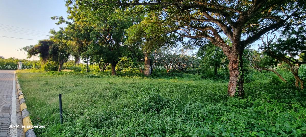 500 m² Land at Serena - 11