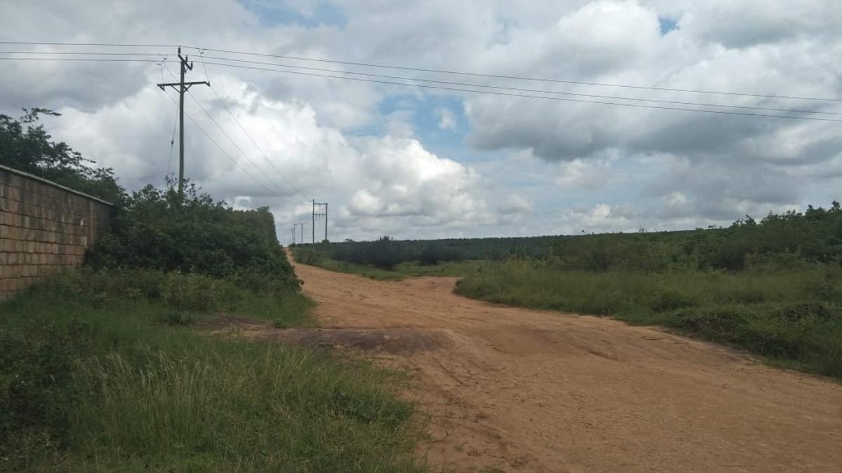 Land in Vipingo - 7