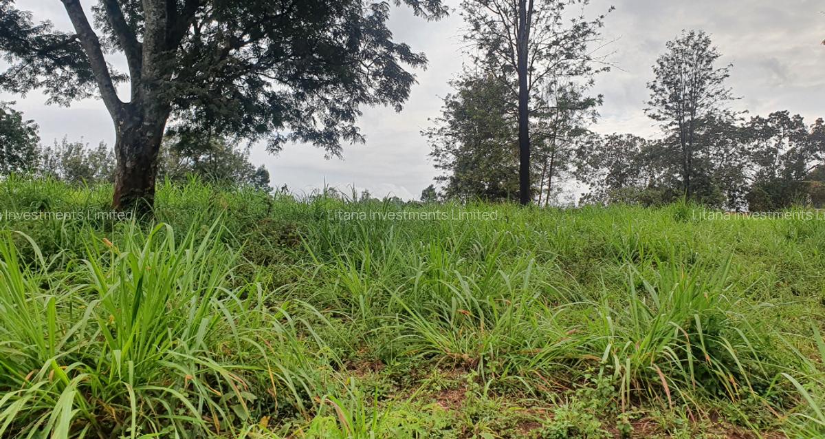 0.5 ac Land at Ruaka Town - 2