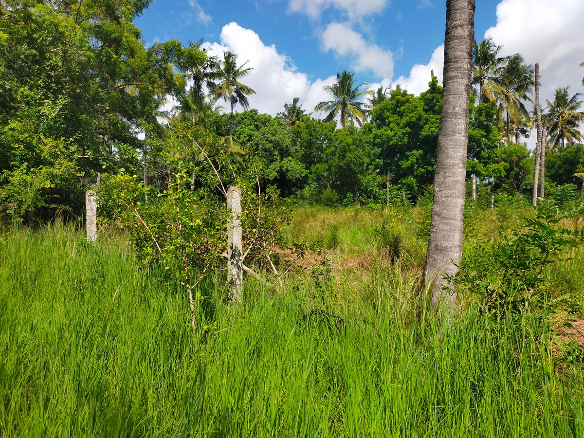 Land in Kilifi County - 19