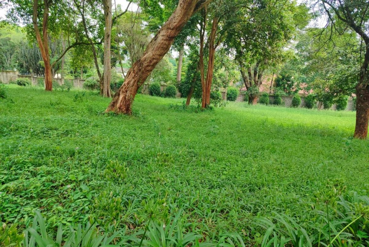 Land at Lower Kabete - 8