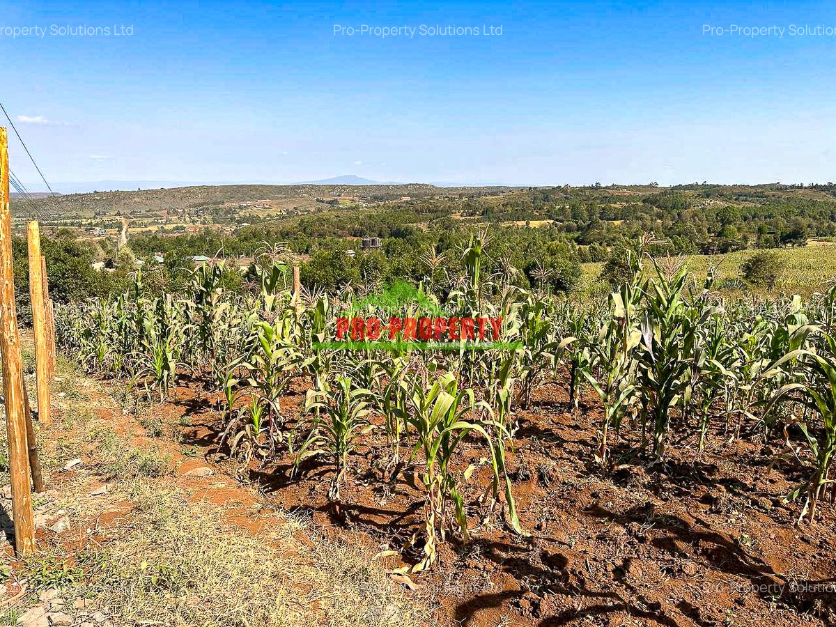 0.05 ha Residential Land at Kamangu - 9