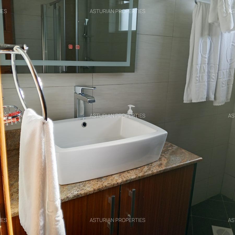 Furnished 1 Bed Apartment with En Suite in Kiambu Road - 4