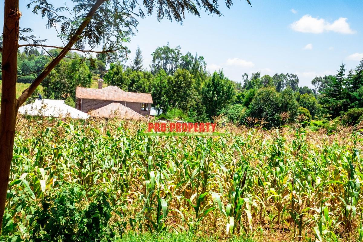 0.1 ha Residential Land at Kamangu - 4