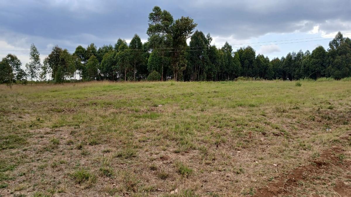 0.045 ha Residential Land at Kikuyu - 5