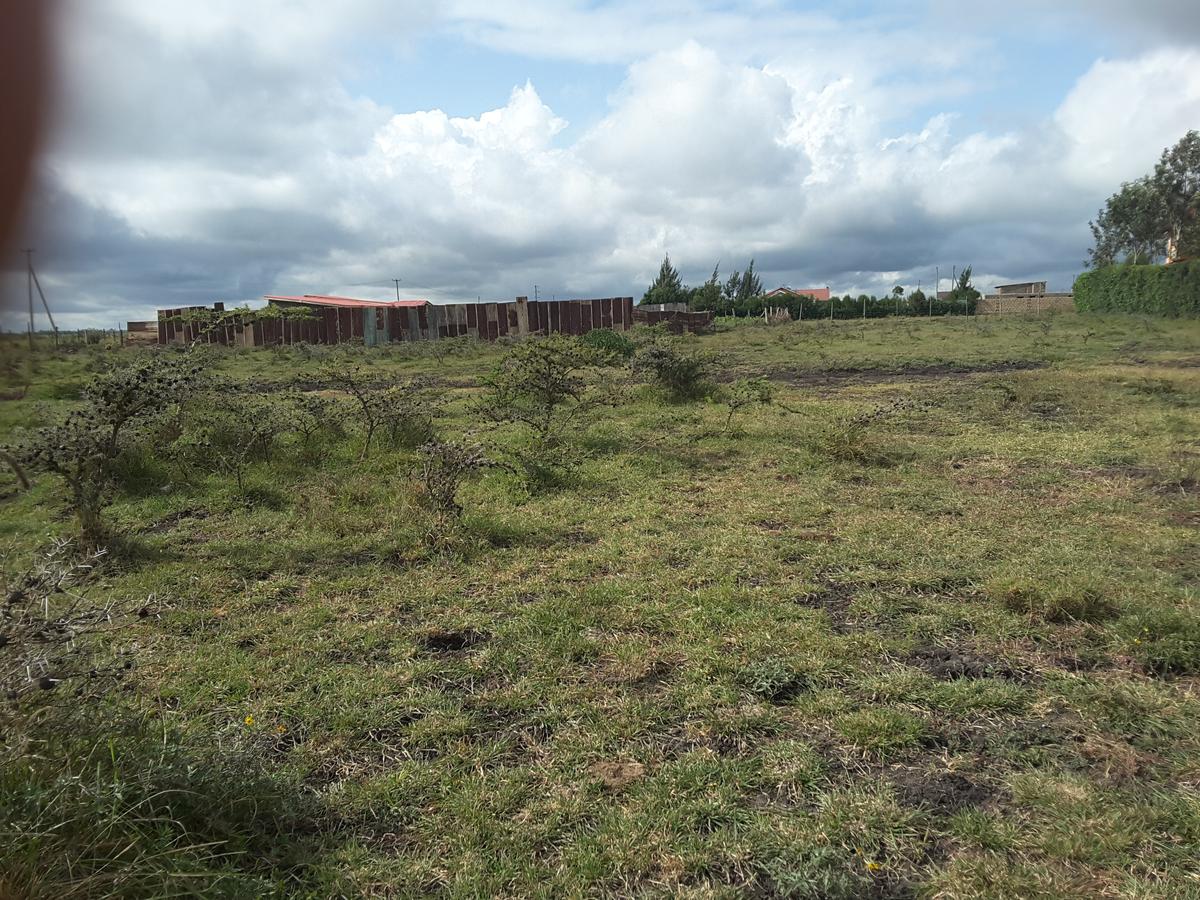 0.1 ha Residential Land in Ongata Rongai - 2