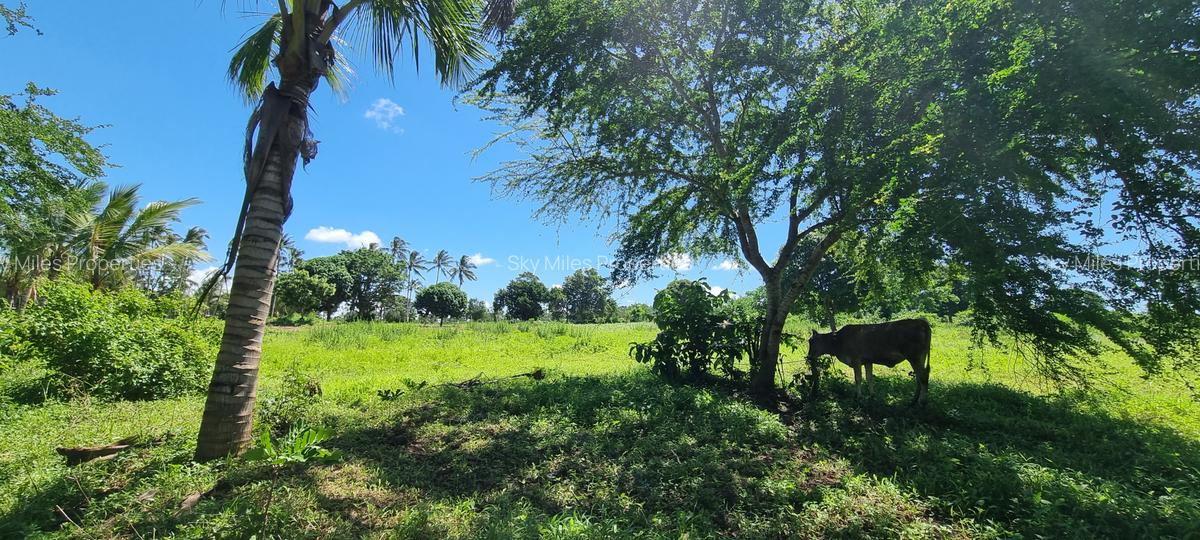 1 m² Land at Bomani - 2