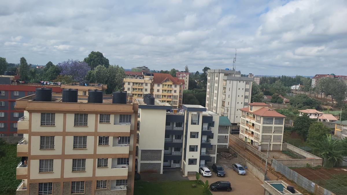 2 Bed Apartment with En Suite at Limuru Road Ruaka - 13