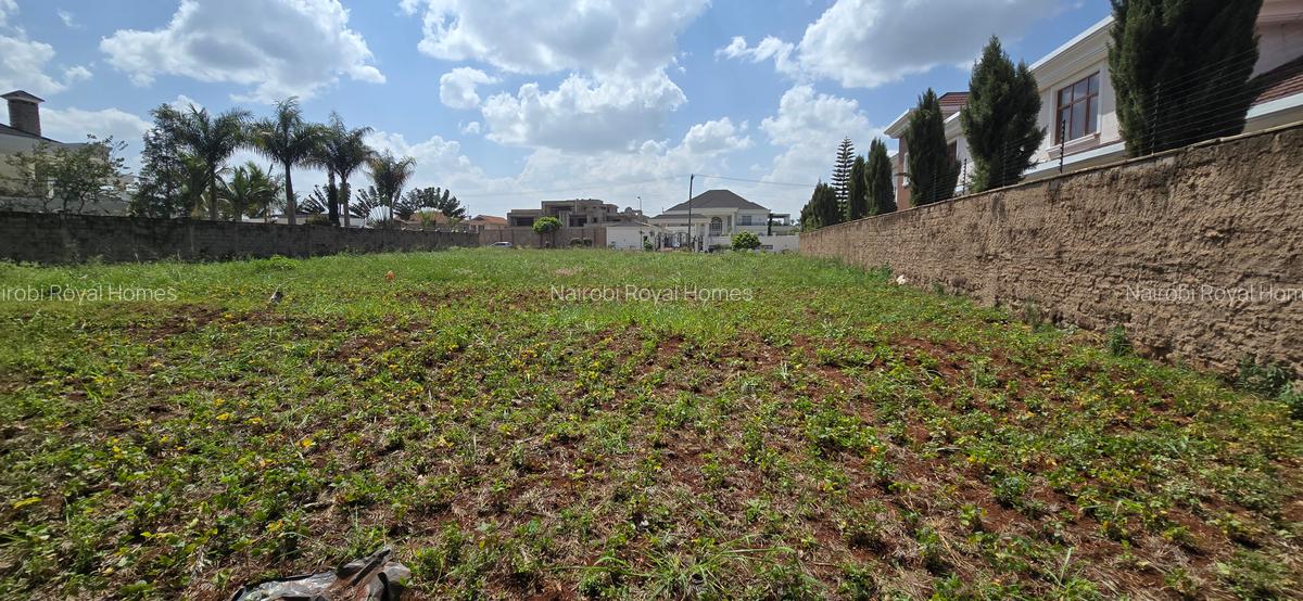 Residential Land at Runda Road - 19
