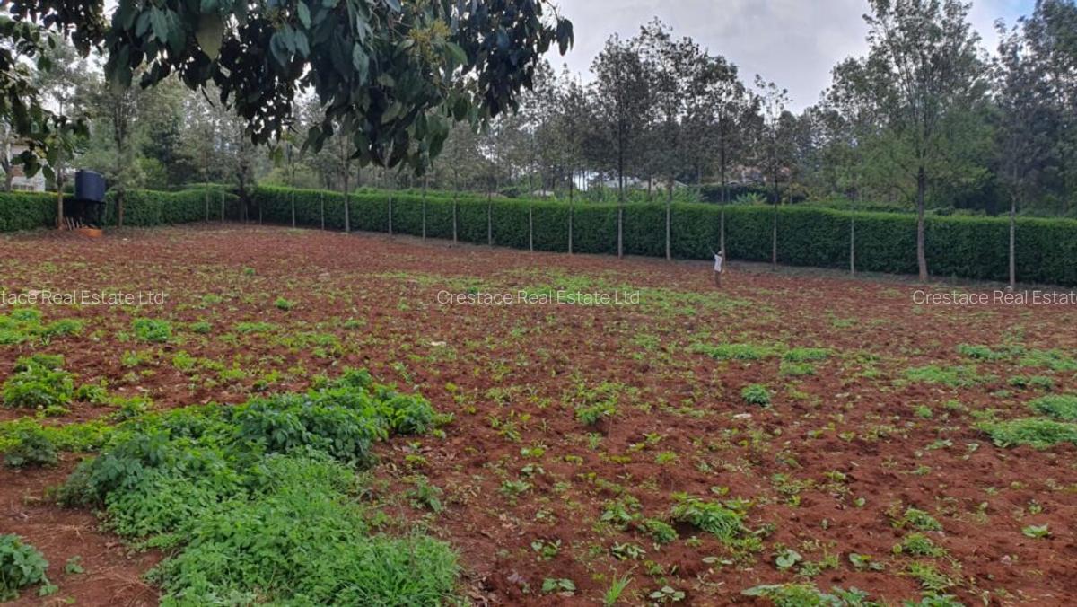 Residential Land in Karen - 1