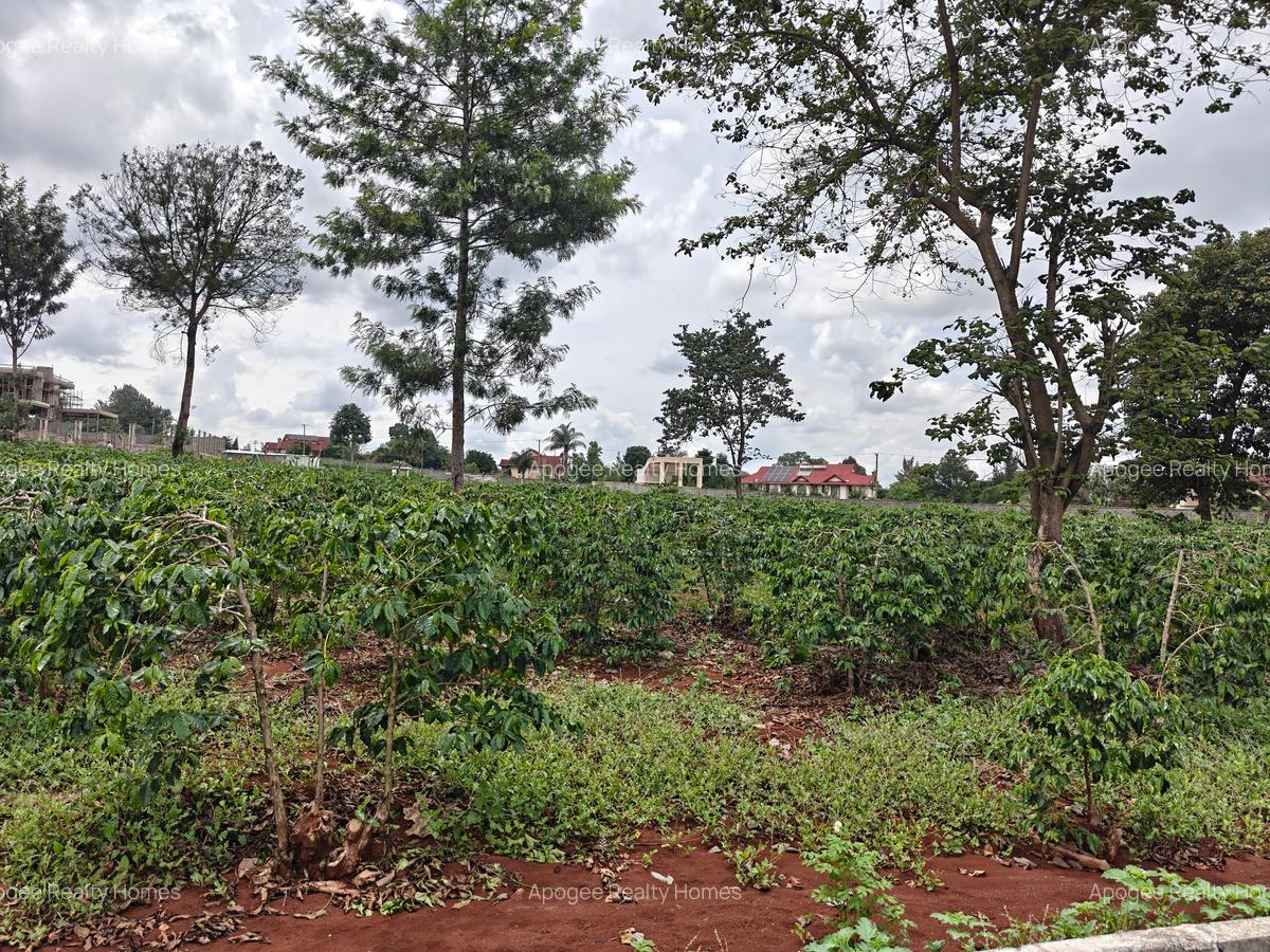 0.5 ac Land at Runda - 10