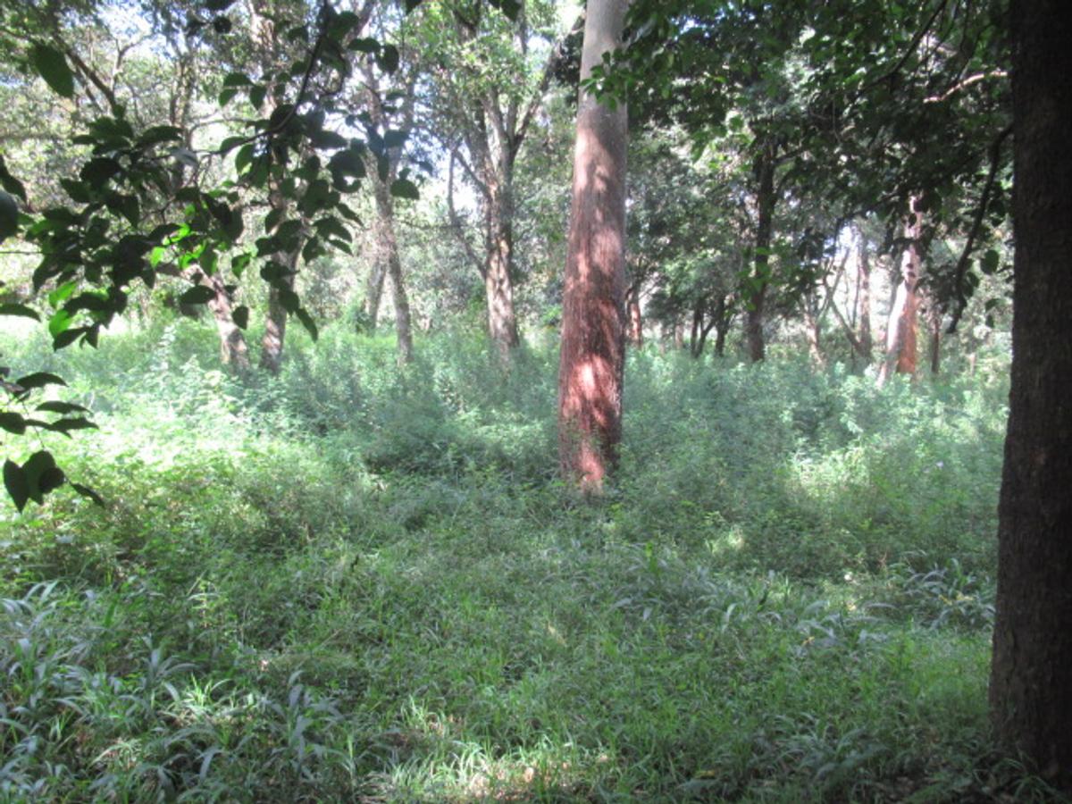 Residential Land at Mwitu Estate - 18