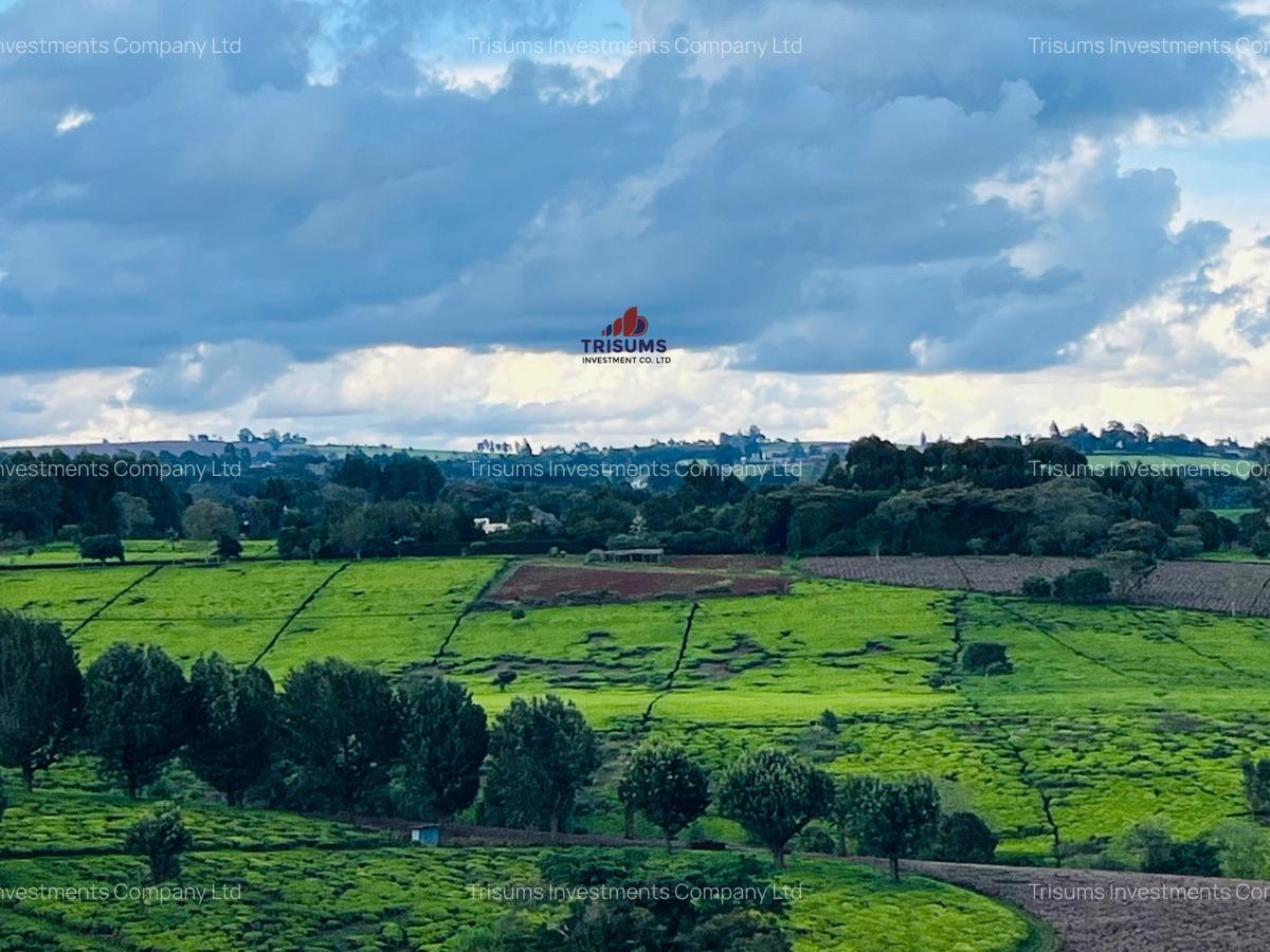 40 ac Land in Limuru - 5