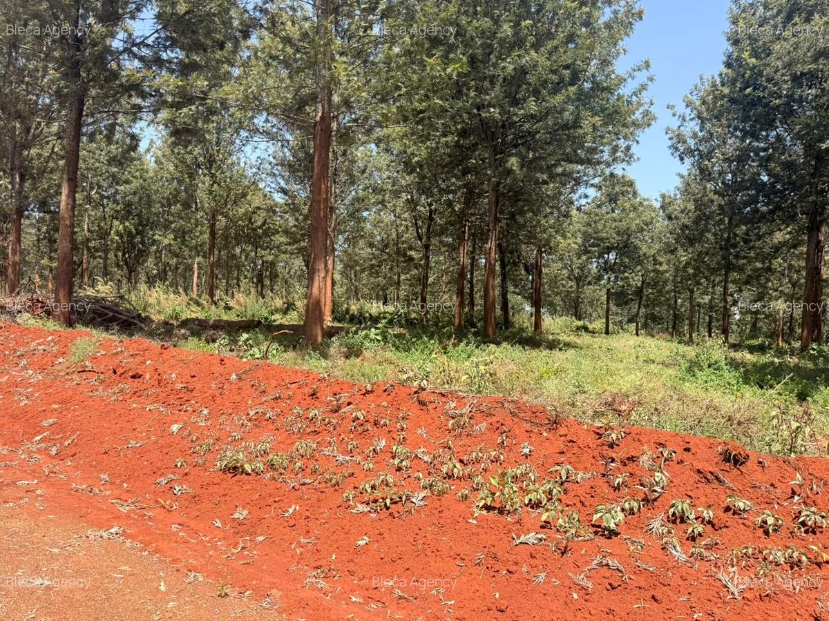 500 m² Land at Ruiru-Githunguri Road - 10