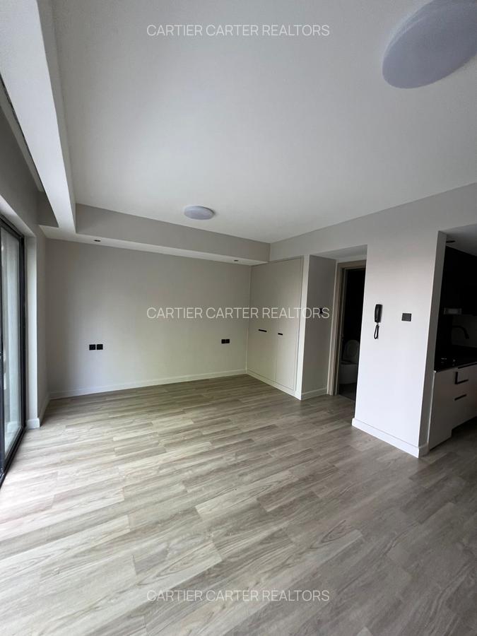 Studio Apartment with Swimming Pool in Upper Hill - 10